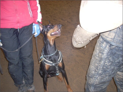 Training in Estonia 1/2008