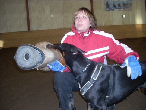 Training in Estonia 1/2008