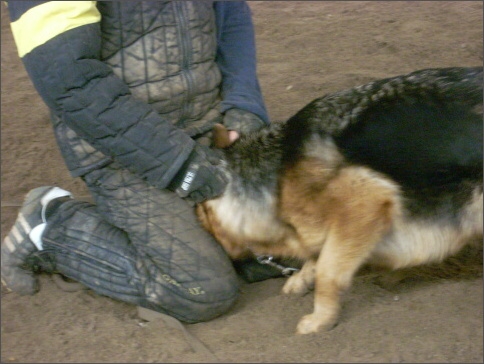 Training in Estonia 1/2008