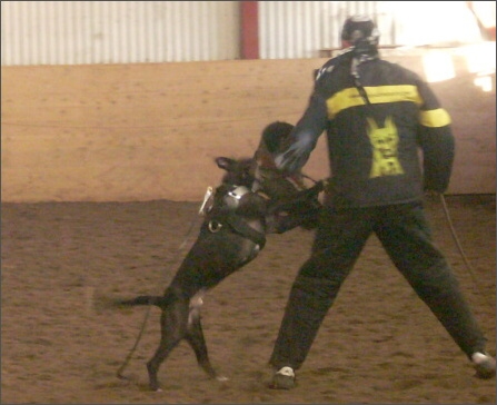 Training in Estonia 1/2008