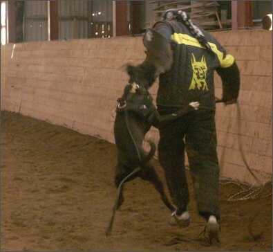 Training in Estonia 1/2008