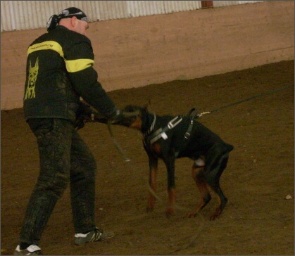 Training in Estonia 1/2008