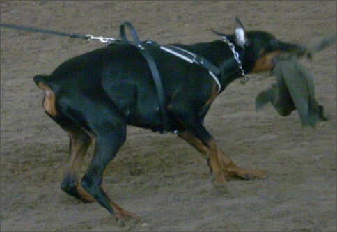 Training in Estonia 1/2008