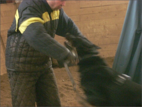 Training in Estonia 1/2008