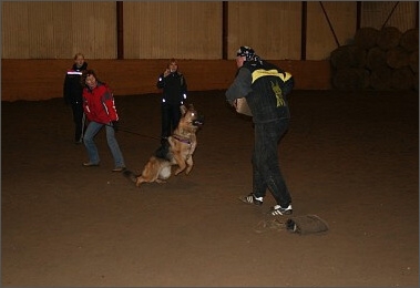 Training in Estonia 1/2008