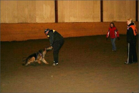 Training in Estonia 1/2008