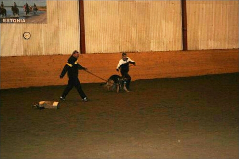 Training in Estonia 1/2008