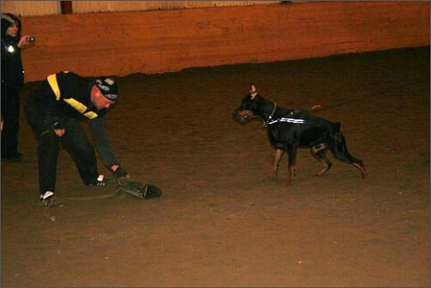 Training in Estonia 1/2008