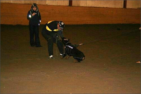 Training in Estonia 1/2008