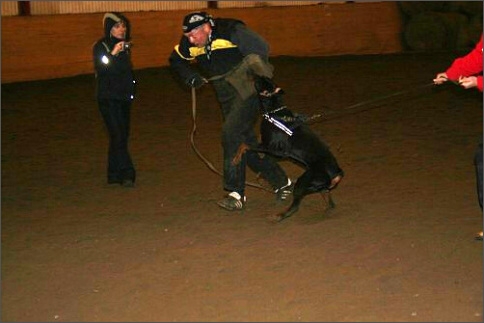 Training in Estonia 1/2008