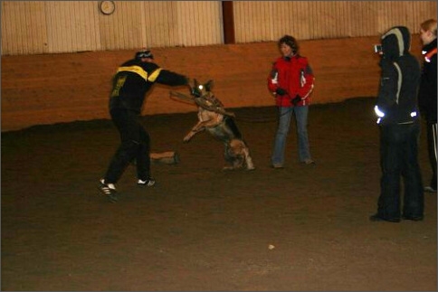 Training in Estonia 1/2008