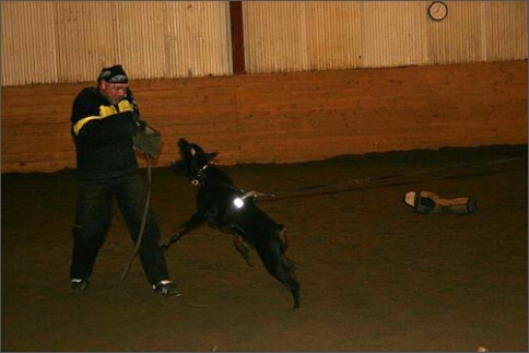 Training in Estonia 1/2008