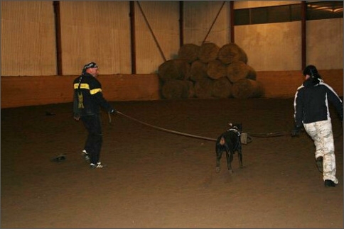 Training in Estonia 1/2008