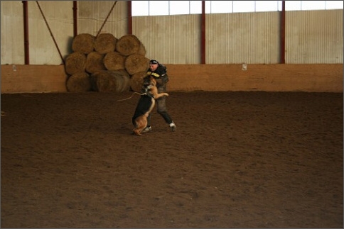 Training in Estonia 1/2008