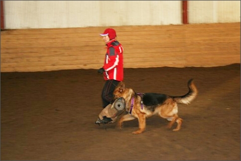 Training in Estonia 1/2008