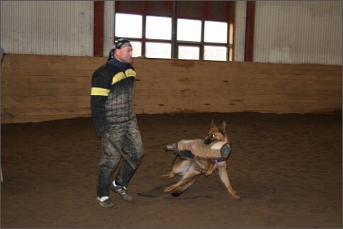 Training in Estonia 1/2008