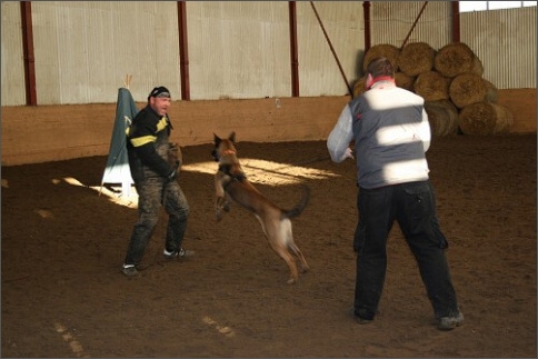 Training in Estonia 1/2008