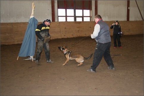 Training in Estonia 1/2008