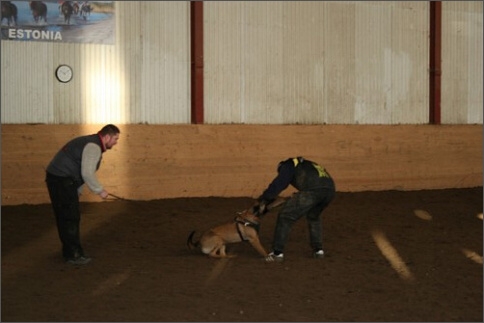 Training in Estonia 1/2008