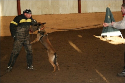 Training in Estonia 1/2008