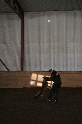 Training in Estonia 1/2008