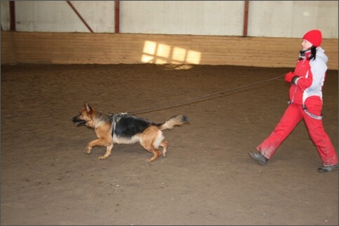 Training in Estonia 1/2008