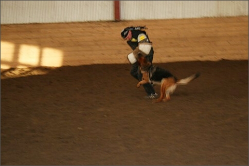 Training in Estonia 1/2008