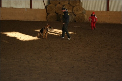 Training in Estonia 1/2008