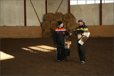 Training in Estonia 1/2008