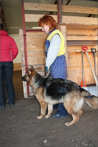 Training in Estonia 1/2008