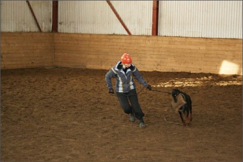 Training in Estonia 1/2008