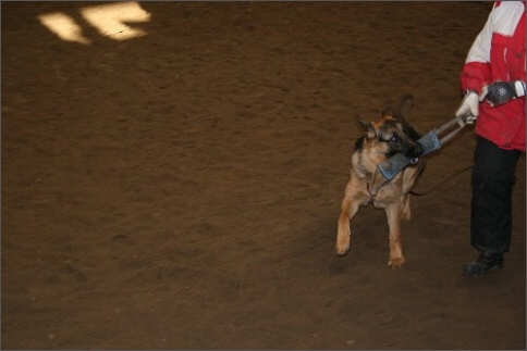 Training in Estonia 1/2008