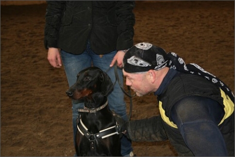 Training in Estonia 1/2008