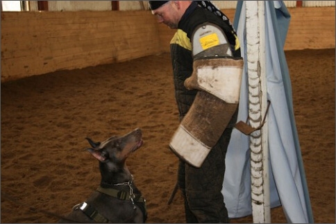 Training in Estonia 1/2008