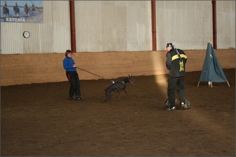 Training in Estonia 1/2008