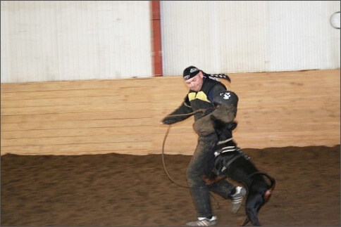 Training in Estonia 1/2008