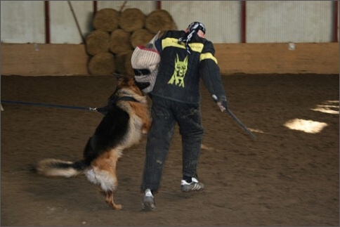 Training in Estonia 1/2008