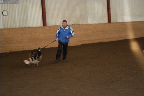 Training in Estonia 1/2008