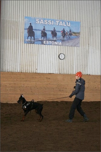 Training in Estonia 1/2008