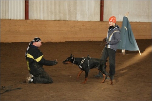 Training in Estonia 1/2008