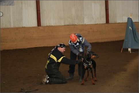 Training in Estonia 1/2008