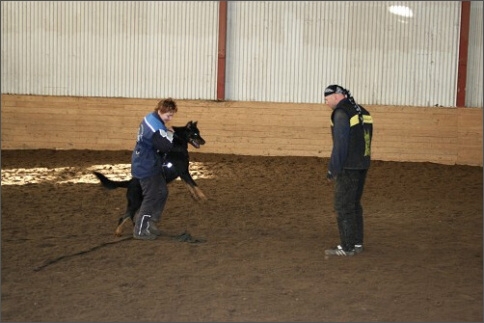 Training in Estonia 1/2008