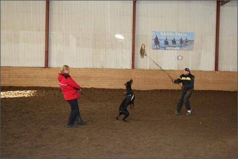 Training in Estonia 1/2008