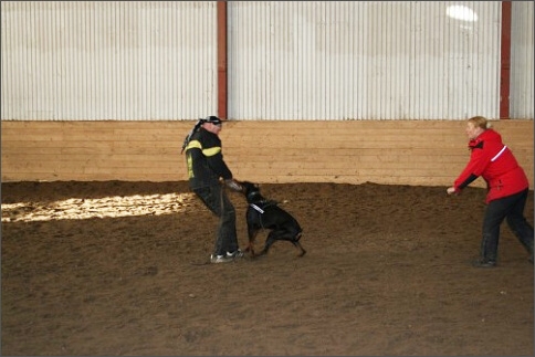 Training in Estonia 1/2008