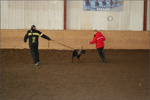 Training in Estonia 1/2008