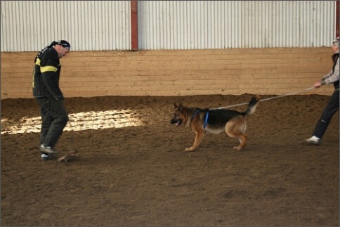 Training in Estonia 1/2008