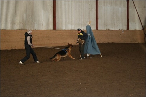 Training in Estonia 1/2008