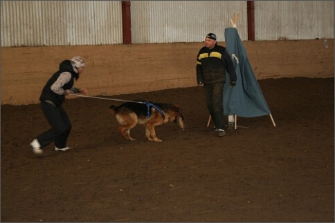 Training in Estonia 1/2008