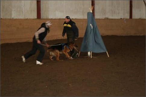 Training in Estonia 1/2008