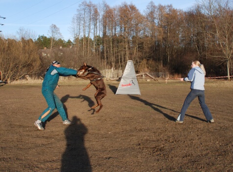 Training in Estonia 30.3 - 1.4. 2007